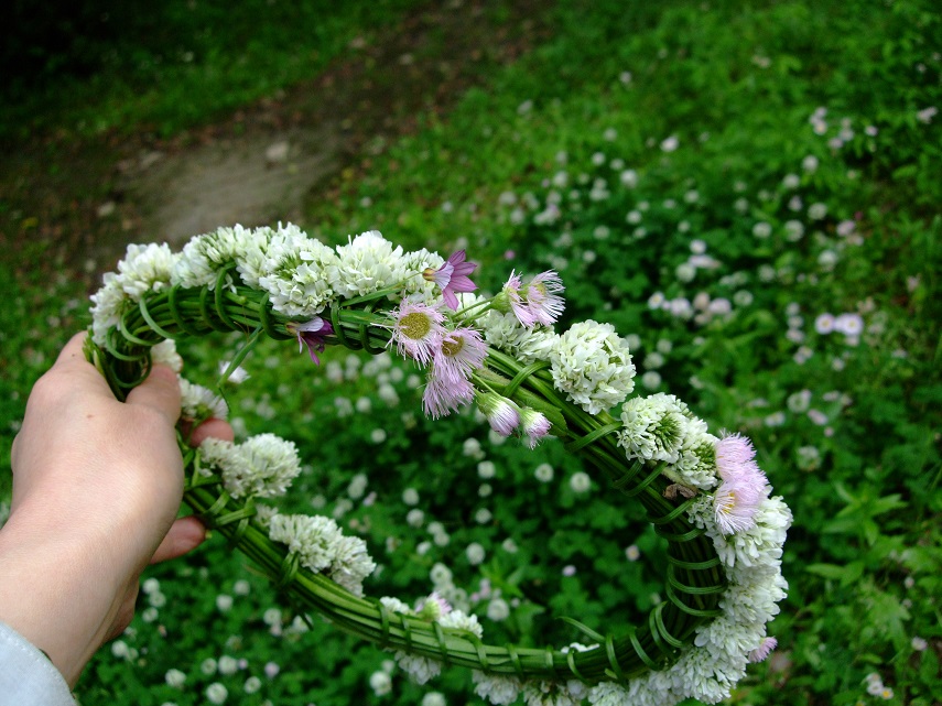 日本の伝承遊びコツのコツ 第1巻―大きな図で解りやすい本 こんなにある草花遊び 1（単行本） Amazon.co.jp: 日本の伝承遊びコツのコツ 1: 大きな図で解り
